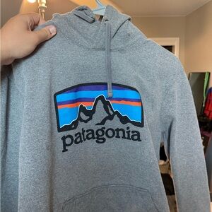 Patagonia Gray Hoodie with Mountain Logo
